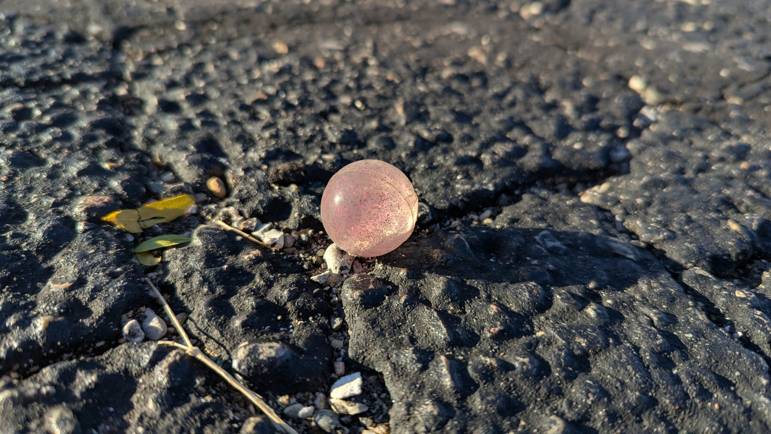 A super-bounce ball in the parking lot of the polling location, lit by the morning sun.