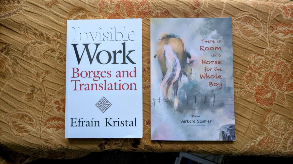 Books I read in the month of November 2025.